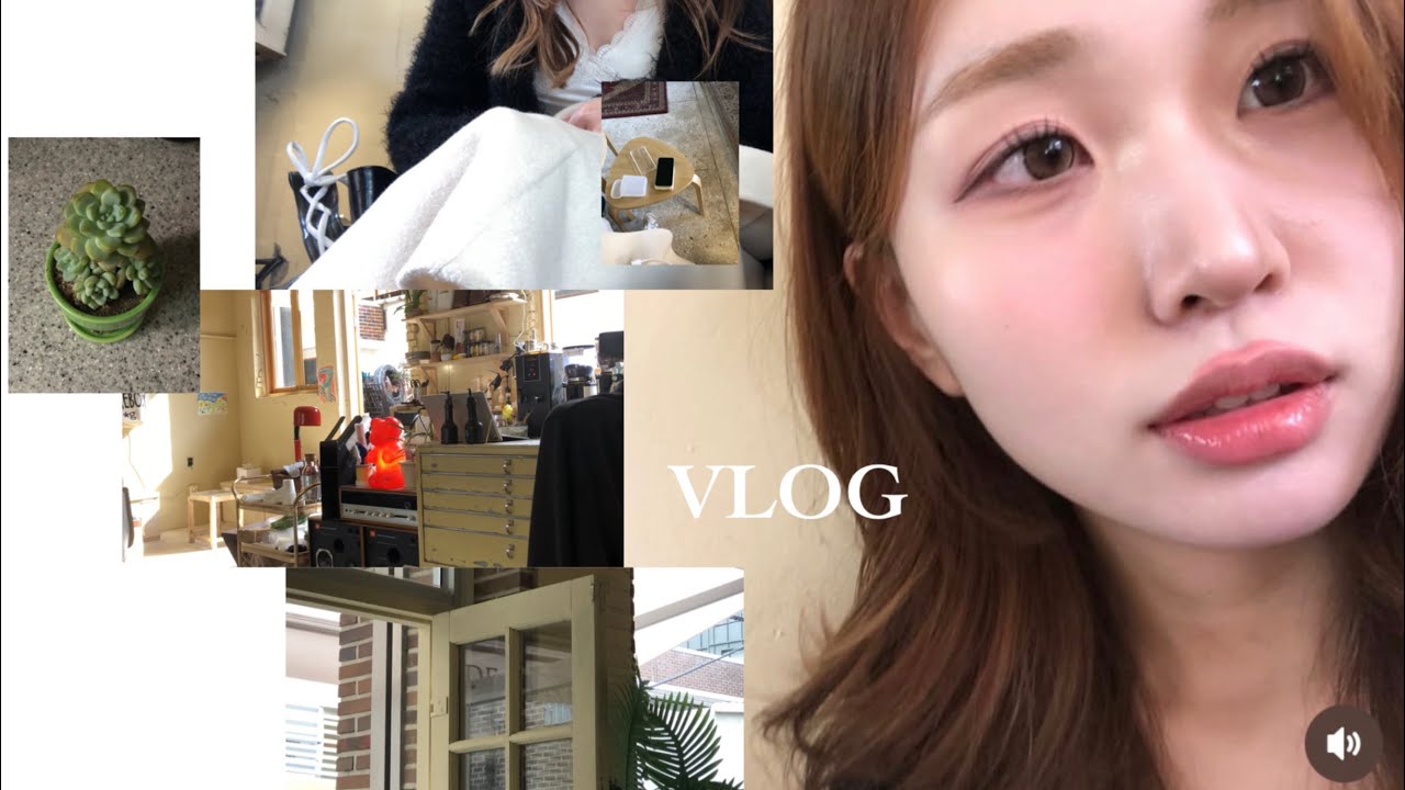 개강 하루 전 마지막 데이트 .. ♡ | 다이소 2천원 다육이 입양 🪴 ㅣ 두끼 꿀팁까지 •• 🍝