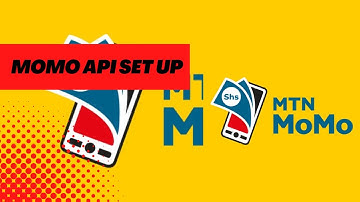 MTN MOMO API-How to apply and Setup MTN MOMO API