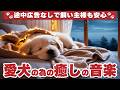 犬が落ち着くリラックス音楽（広告なし） / 11時間の長時間音楽 / 犬の留守番 / 犬が寝る音楽 / 犬のための音楽 / 犬の雷対策
