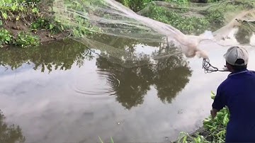 QUĂNG CHÀI ĐẸP Và CÁI KẾT LỘI SÔNG GỠ CÁ l Catch Fish meet Big fish
