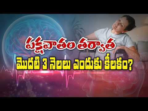 Why are the First 3 Months After a Stroke Crucial? | Sukhibhava | ETV Life