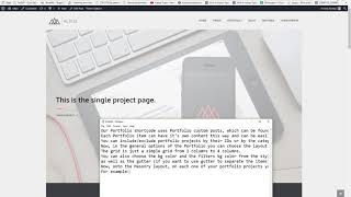 Altius - Portfolio Setup & Options