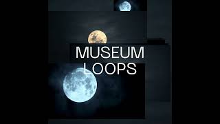 MUSEUM LOOPS