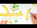 Tuto aquarelle faire une courgette zphyr daprs nature