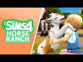 THE HORSE GAMEPLAY WE NEEDED!🐎 The Sims 4 Horse Ranch Trailer Reaction