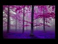 Beautiful downtempo ambient harmonica  relaxing and soothing harmonica  music to study relax