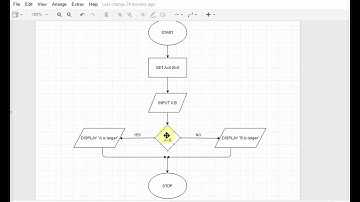 Flowchart Tutorials 4 : Variables and Decision Box