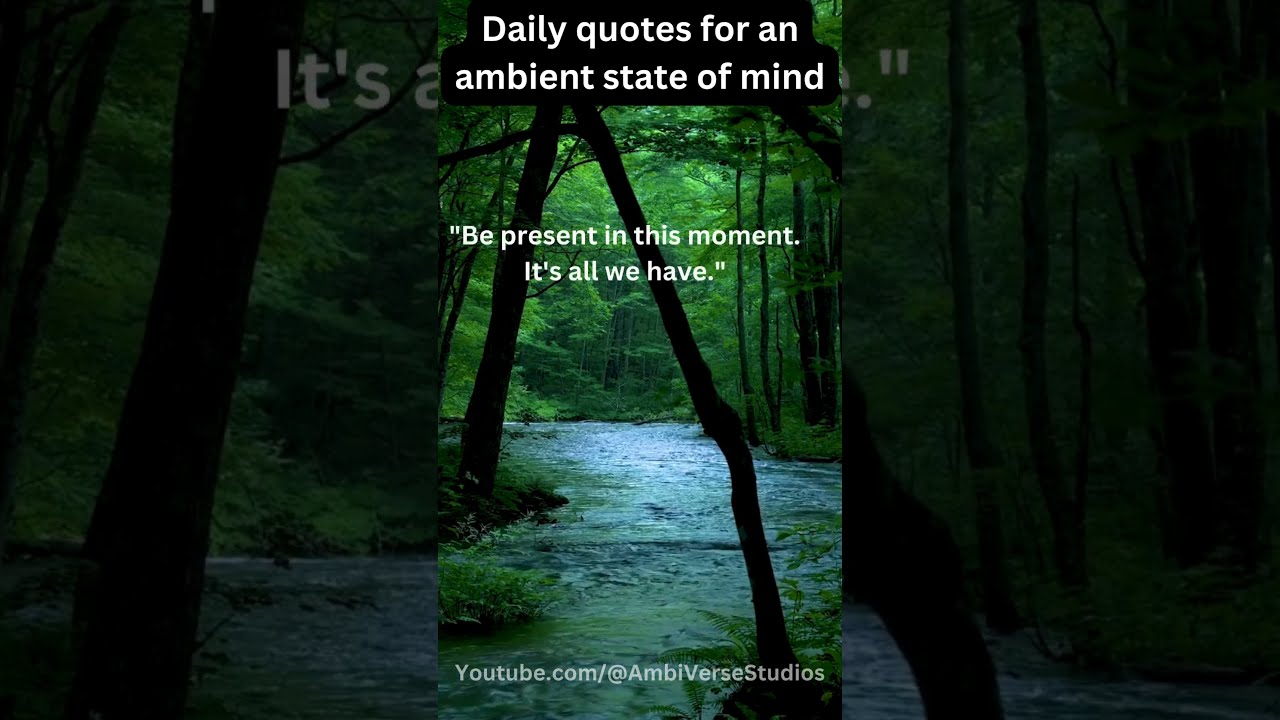 Daily Quotes For An Ambient State Of Mind 2