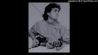Mandolin U. Shrinivas - Vinayaka Vighna Nasaka