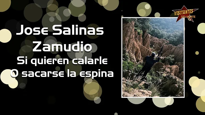 LA ESCUELA DE SALINAS ZAMUDIO - VISITANTES DEL NORTE