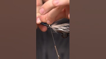 Tie This Simple Baitfish Fly