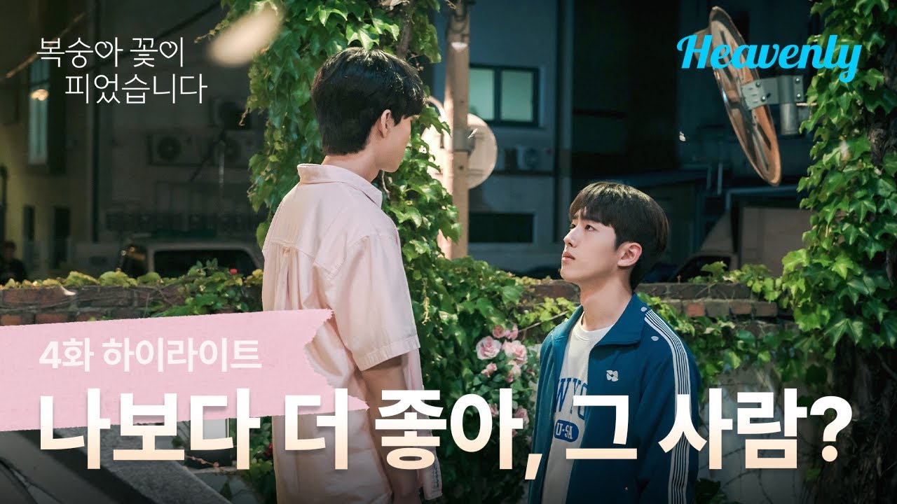 오늘밤은 복숭아 꽃비가 내리겠습니다  💗모두 사랑에 빠질 수 있으니 조심하시길 바랍니다 | #복숭아꽃이피었습니다 하이라이트 | 헤븐리