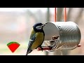 Кормушка для птиц (DIY) *** How to make a Bird Feeder