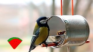 Кормушка для птиц (DIY) *** How to make a Bird Feeder