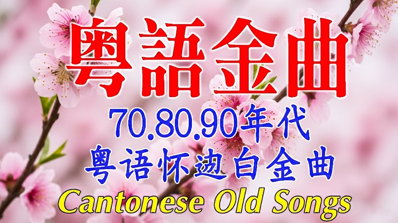 【粤语金曲】每天必听的歌 Best Cantonese Old Songs |📀 粵語歌曲黃金年代：天若有情，旧梦不须记，万水千山总是情，诺言 🌸💖 怀旧记忆值得收藏