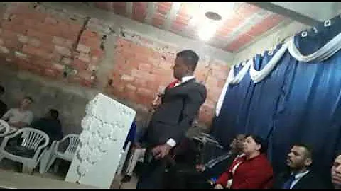 Qual a característica da palmeira?