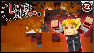 Into Flame! -  Limited Life #2