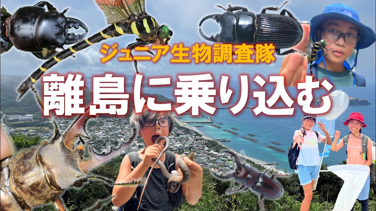 大成果！伊豆諸島 新島でジュニア生物調査隊が夏合宿