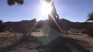 Eclipse Rover videoing at the Joshua Tree National Park