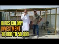 Birds Colony Investment 10000 to 50000|Make Finch, java colony & get income, profit |Birds business