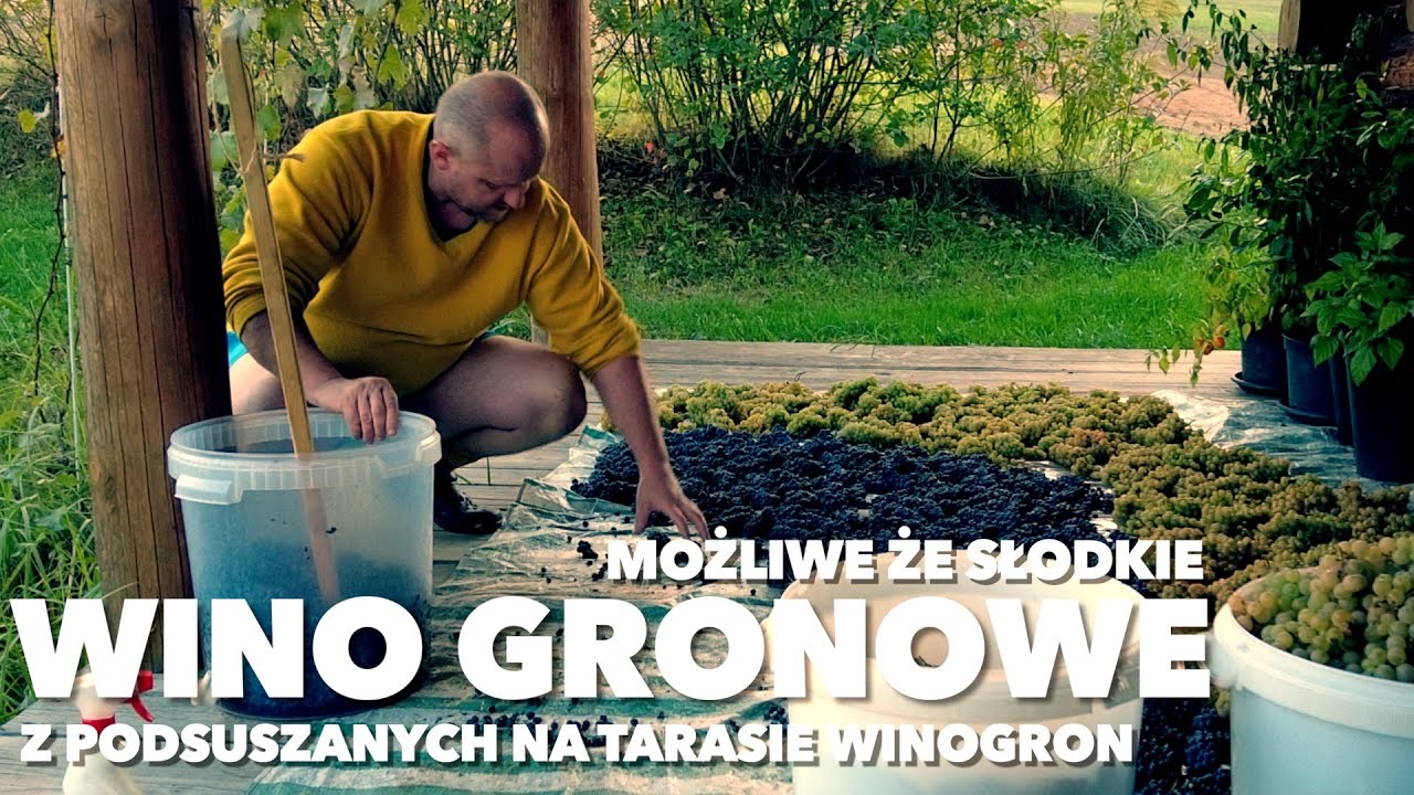 białe i czerwone wino gronowe z podsuszanych winogron na dzikich drożdżach i szypułkach