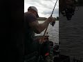 CARP on the BIG CHUCK!!!!! #fishing #carp #fish #bigcarp #carpangling #distance #casting #longway