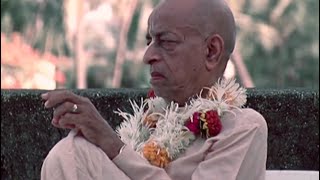 Following Srila Prabhupada | DVD 6