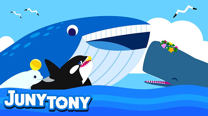 Whale Song for Kids | Learn Sea Animals | Blue whale, Sperm whale, Beluga Whale and Orca | Juny&Tony - DayDayNews