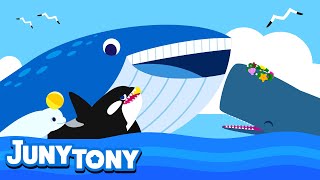 Whale Song for Kids | Learn Sea Animals | Blue whale, Sperm whale, Beluga Whale and Orca | Juny&Tony