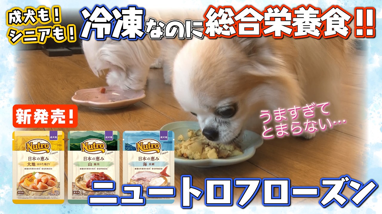 新発売！】ニュートロ発の冷凍「総合栄養食」が凄すぎる!!「ニュートロ