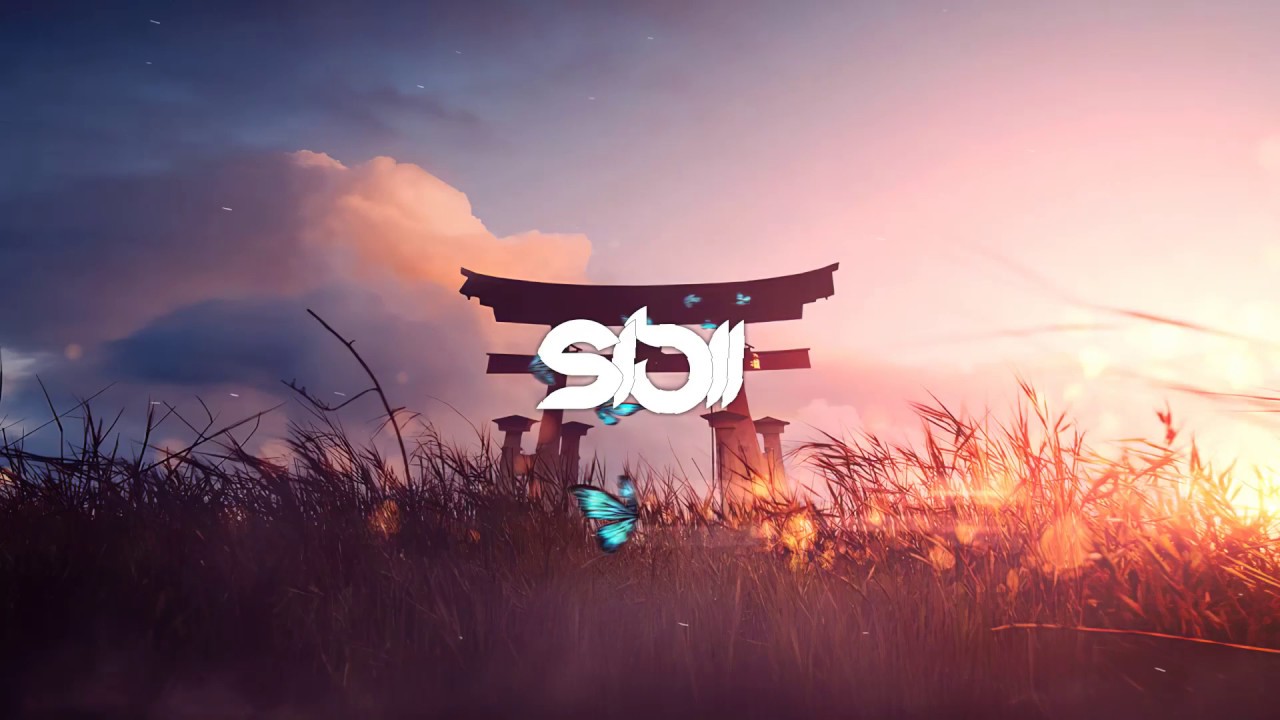 Vital Signs - Sanwali Salooni Si (SiBii Remix)