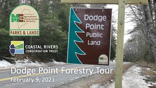 Dodge Point Forestry Tour