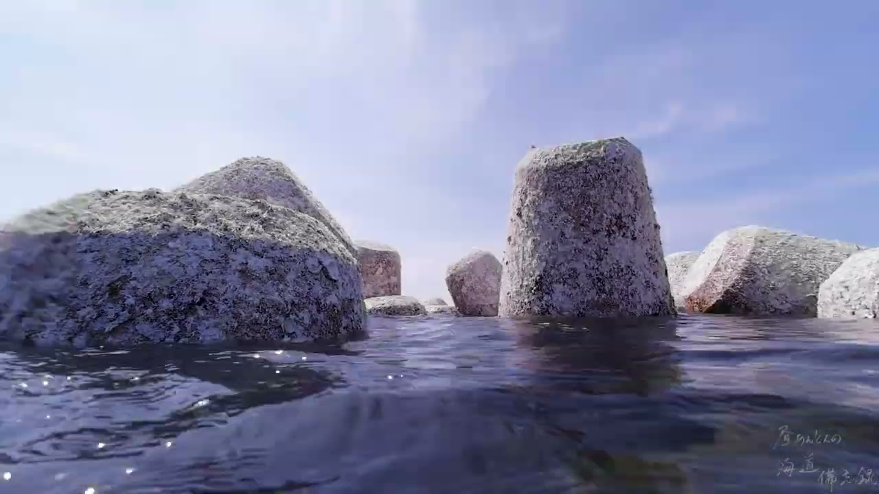 20240612 袖ヶ浜　水中の様子