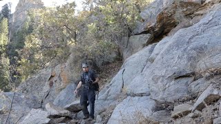 Hualapais in the Fall - Wildlife Photography vlog 10