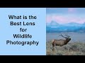 What is the best lens for wildlife photography