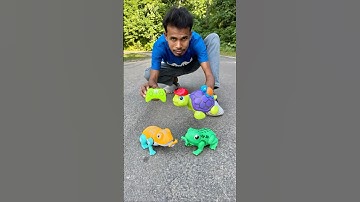 2 Ta Remote control Forg and Rc Turtle Unboxing 😊