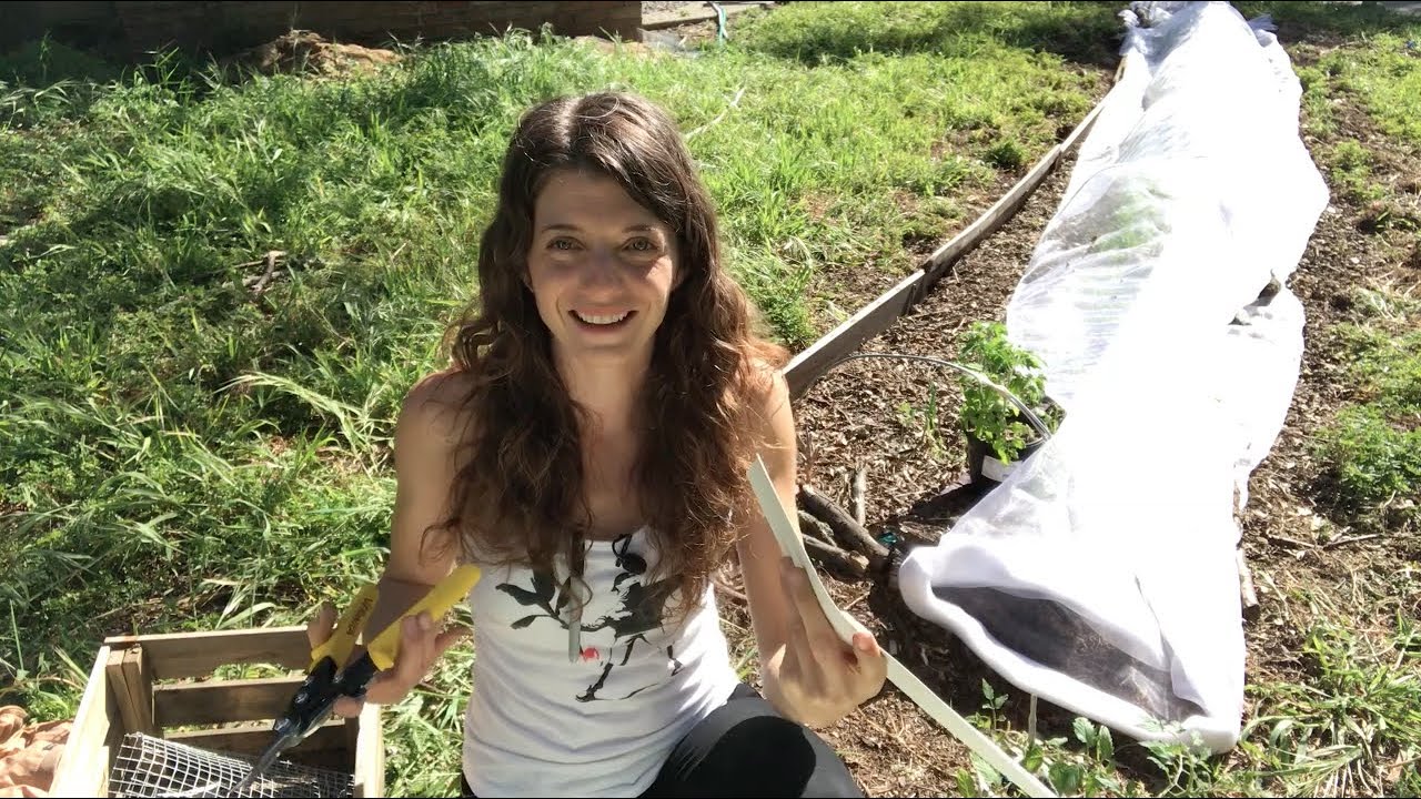 Hydroponics Store Growing Mediums Mike S Nursery And Hydrophonics Supplies Lakewood New York