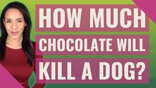 How much chocolate will kill a dog? Content