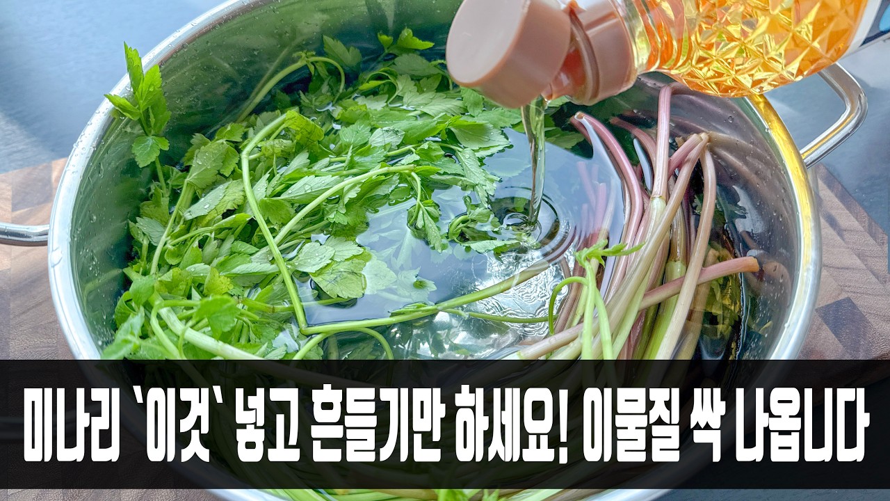 미나리 세척 및 보관법