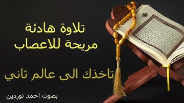 سورة النجم تلاوة هادئة