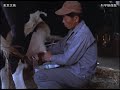 明日を創る　―農業篇―