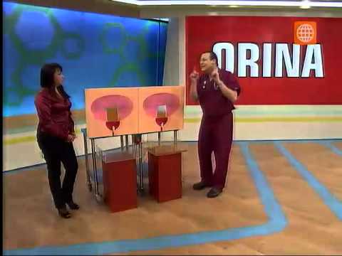 como aguantar mas las ganas de orinar como aguantar mas las ganas de orinar