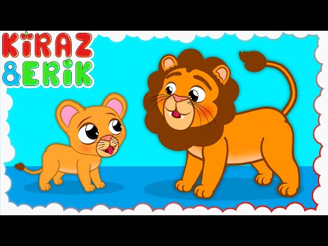 Bir Küçük Aslancık Varmış Şarkısı 🦁 | Eğlenceli Çocuk ve Bebek Şarkıları | Kiraz ve Erik