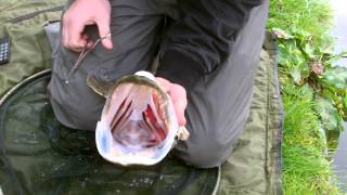 How to unhook a pike - chrisnsamfihsing