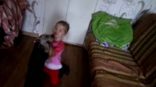 Собака отбирает сапоги у ребенка / A dog takes away knee-boots for a child Собака отбирает сапоги у ребенка / A dog takes away knee-boots for a child