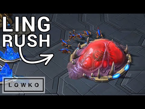 StarCraft 2: WHAT
