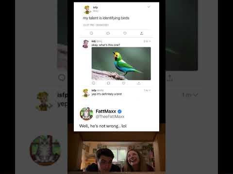 The Best Bird Identification Ever