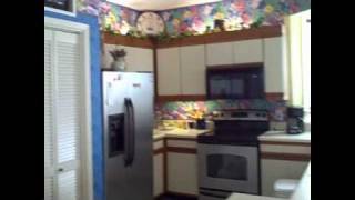 SeaChase 401W.wmv