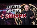 СЕКРЕТЫ ДРУЖБЫ С ОВНАМИ