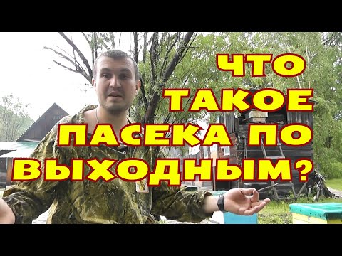 Видео: Что такое пасека?